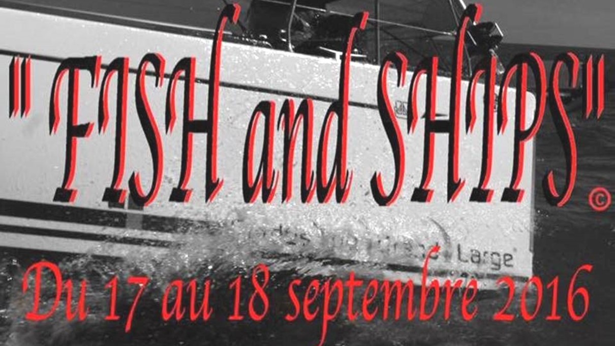 Rallye Fish & Ships 2016 : 50H inside