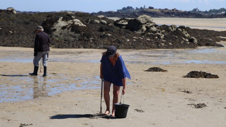 Lire la suite à propos de l’article Le pêcheur-plaisancier est-il vraiment à la mer ce que le Roundup est à l’abeille ?