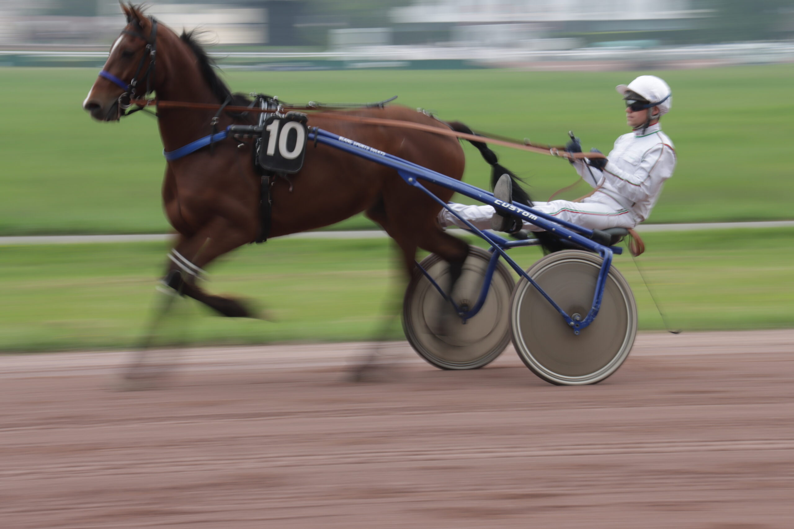 Sulky traveling filé Jpeg